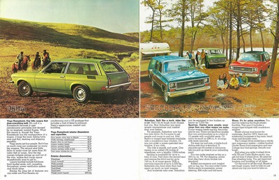 1973 Chevrolet Wagons-18-19.jpg